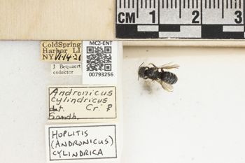 Media type: image;   Entomology 793256 Aspect: Labels